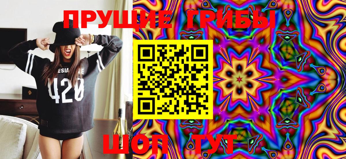Псилоцибиновые грибы GOLDEN TEACHER Красноуфимск